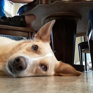 meaganzumwalt avatar