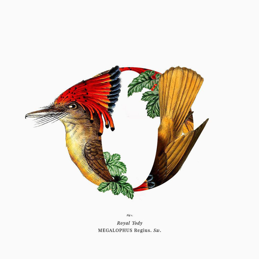 I Started Drawing Alphabet Letters To Overcome My Creative Struggles