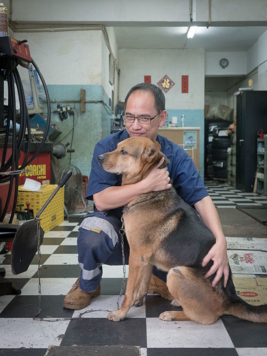 Photographer Does A Brilliant Project On The Dogs Guarding The Auto Thieves Workshops In Hong Kong