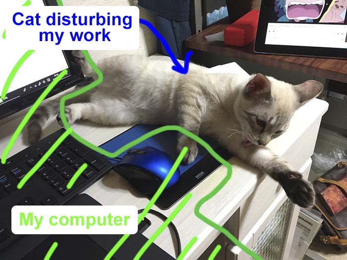 Japanese Man Creates Anti-Cat Keyboard Protection, Tests It On His Cat Japanese Man Creates Anti-Cat Keyboard Protection, Tests It On His Cat