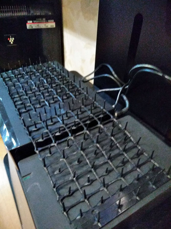 Japanese Man Creates Anti-Cat Keyboard Protection, Tests It On His Cat