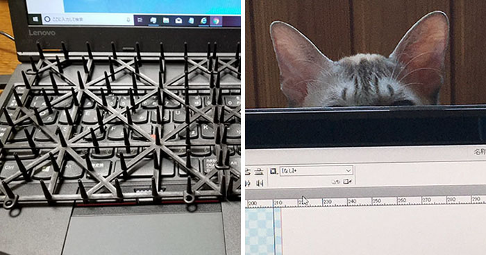 Japanese Man Creates Anti-Cat Keyboard Protection, Tests It On His Cat