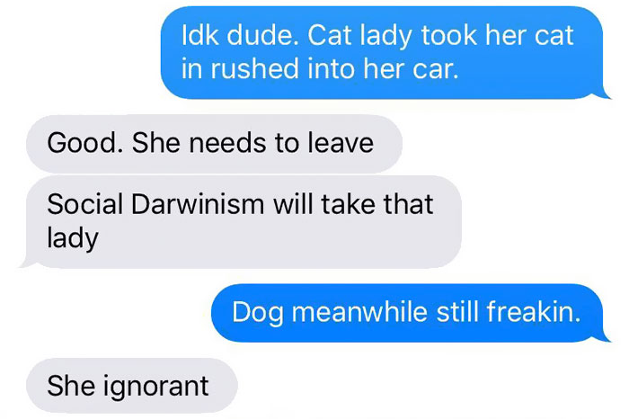 cat-dog-tail-retailer-walmart-story-10 cat-dog-tail-retailer-walmart-story-10