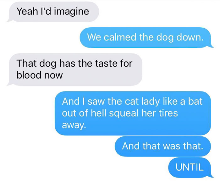 cat-dog-tail-retailer-walmart-story-11 cat-dog-tail-retailer-walmart-story-11