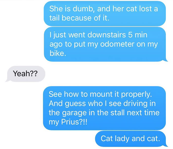 cat-dog-tail-retailer-walmart-story-13 cat-dog-tail-retailer-walmart-story-13