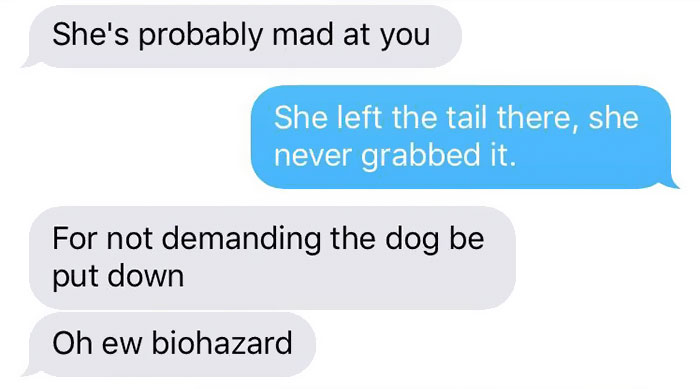 cat-dog-tail-retailer-walmart-story-15 cat-dog-tail-retailer-walmart-story-15