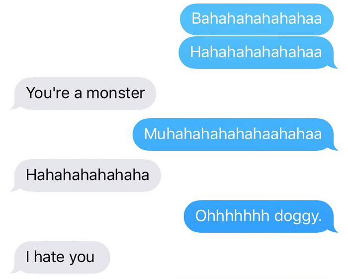 cat-dog-tail-retailer-walmart-story-21 cat-dog-tail-retailer-walmart-story-21