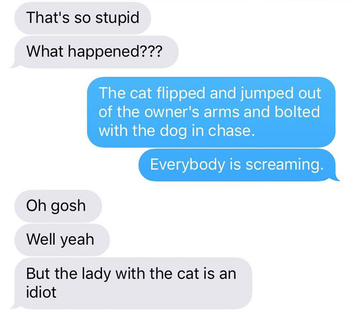 cat-dog-tail-retailer-walmart-story-5 cat-dog-tail-retailer-walmart-story-5