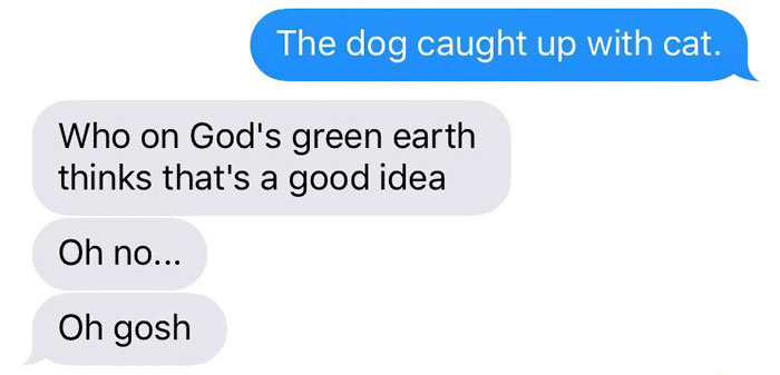 cat-dog-tail-retailer-walmart-story-6 cat-dog-tail-retailer-walmart-story-6