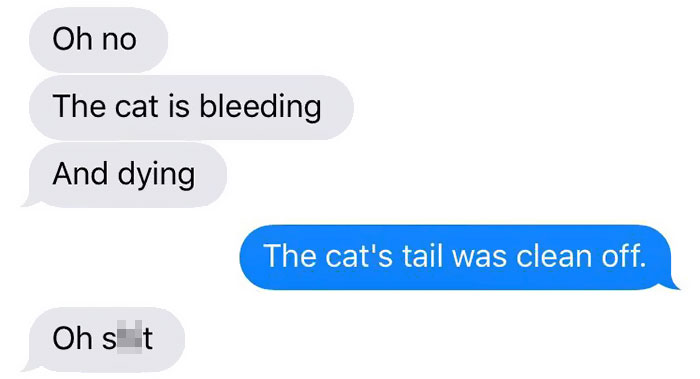 cat-dog-tail-retailer-walmart-story-8 cat-dog-tail-retailer-walmart-story-8