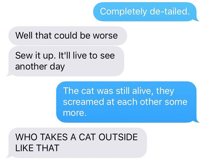 cat-dog-tail-retailer-walmart-story-9 cat-dog-tail-retailer-walmart-story-9