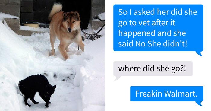 Girl Gets Hilariously Trolled By A Friend’s Made-Up Cat Attack Story