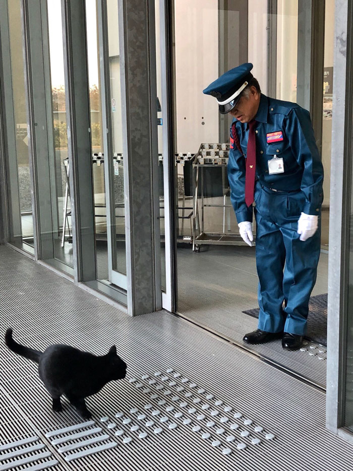 Two Cats In Japan Have Been Trying To Sneak Into A Museum For Years (30 Pics) Two Cats In Japan Have Been Trying To Sneak Into A Museum For Years (30 Pics)