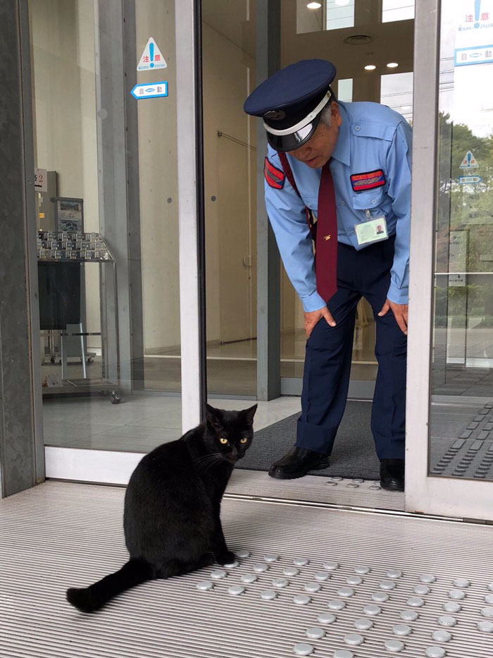 Two Cats In Japan Have Been Trying To Sneak Into A Museum For Years (30 Pics) Two Cats In Japan Have Been Trying To Sneak Into A Museum For Years (30 Pics)