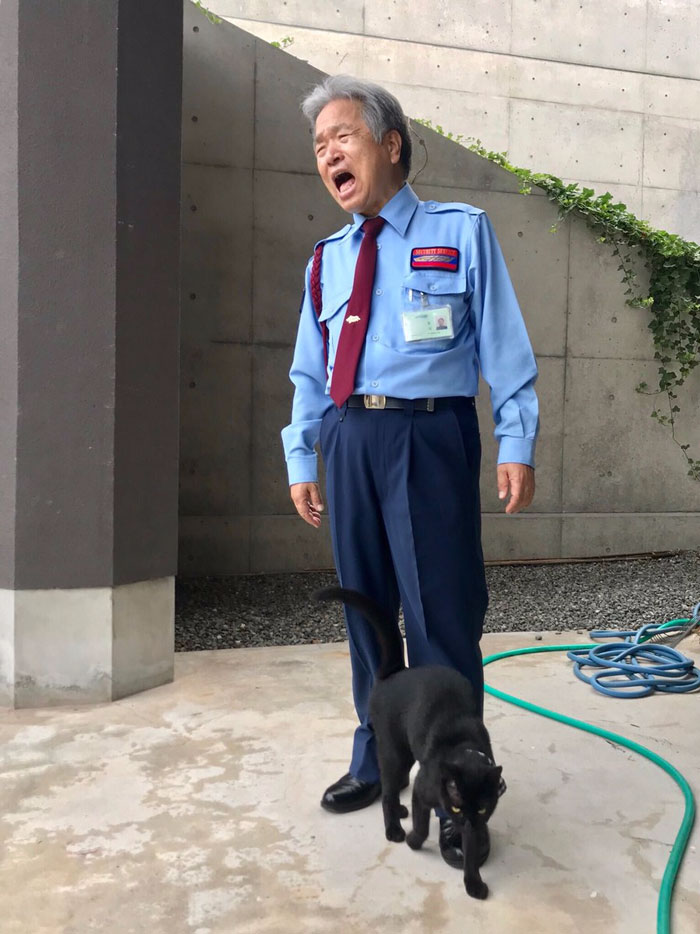 Two Cats In Japan Have Been Trying To Sneak Into A Museum For Years (30 Pics) Two Cats In Japan Have Been Trying To Sneak Into A Museum For Years (30 Pics)