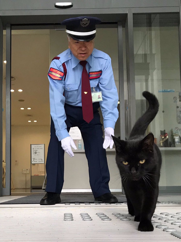 Two Cats In Japan Have Been Trying To Sneak Into A Museum For Years (30 Pics) Two Cats In Japan Have Been Trying To Sneak Into A Museum For Years (30 Pics)