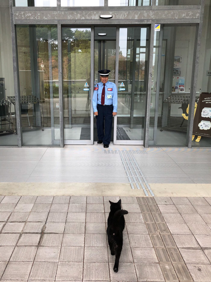 Two Cats In Japan Have Been Trying To Sneak Into A Museum For Years (30 Pics) Two Cats In Japan Have Been Trying To Sneak Into A Museum For Years (30 Pics)