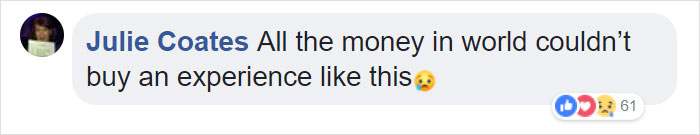 This £50 Budget Christmas Ad Is Taking Over The Internet This £50 Budget Christmas Ad Is Taking Over The Internet