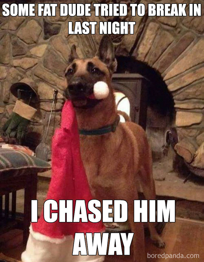 Dog holds Santa hat in a funny Christmas meme scene by the fireplace.