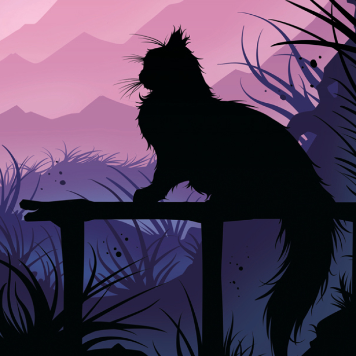 Lumen The Siberian Cat, A Vision Of Beauty