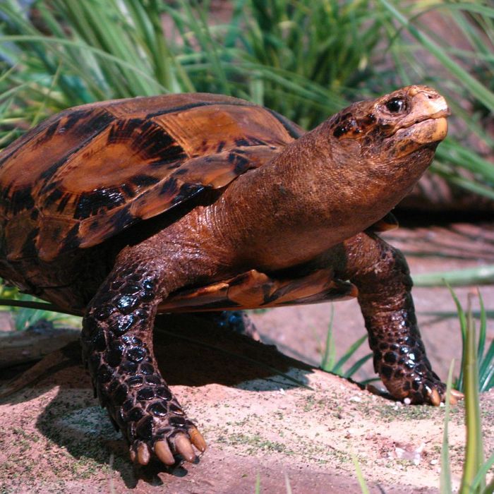 100% Real Funny Names For Animals That Will Crack You Up