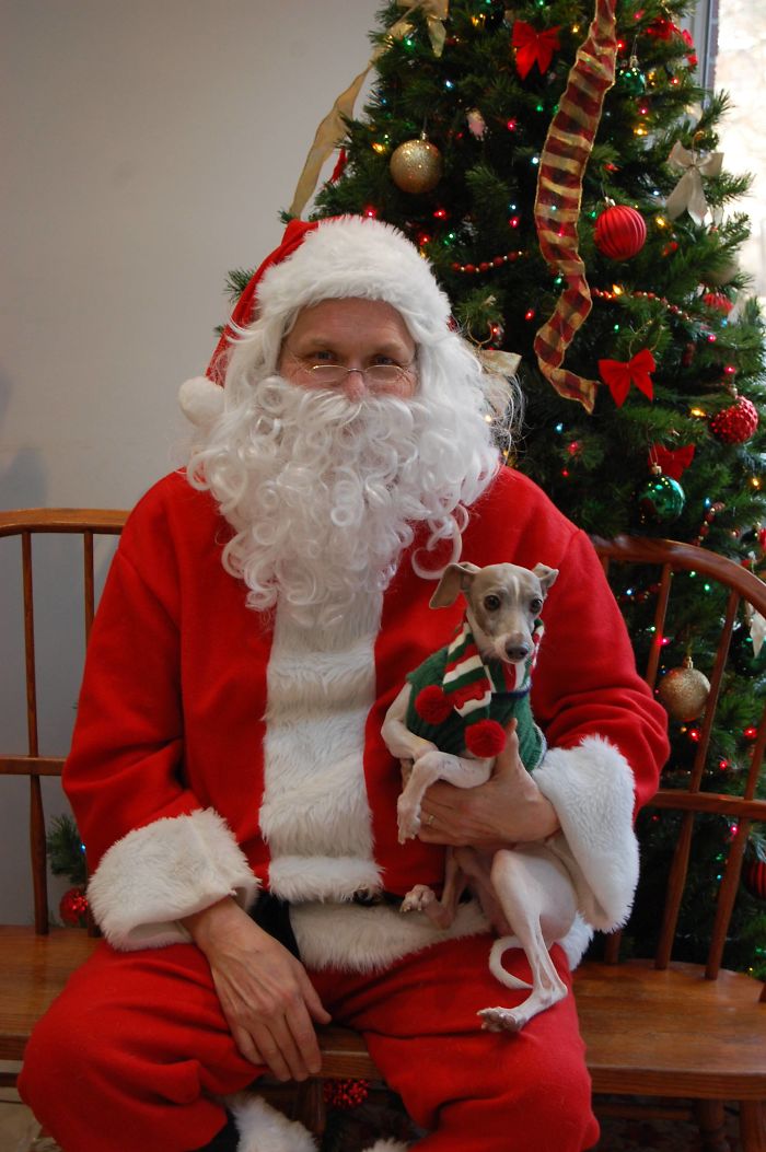 People Share 68 Hilarious Habits Their Pets Have And They're Too Good