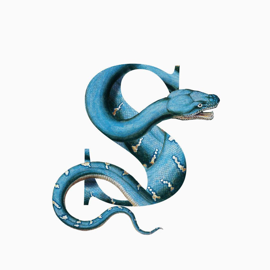 I Started Drawing Alphabet Letters To Overcome My Creative Struggles