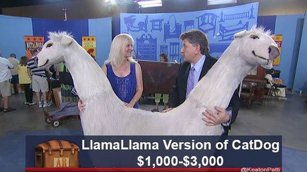 Two people on Antiques Roadshow with a humorous two-headed llama, captioned "LlamaLlama Version of CatDog."