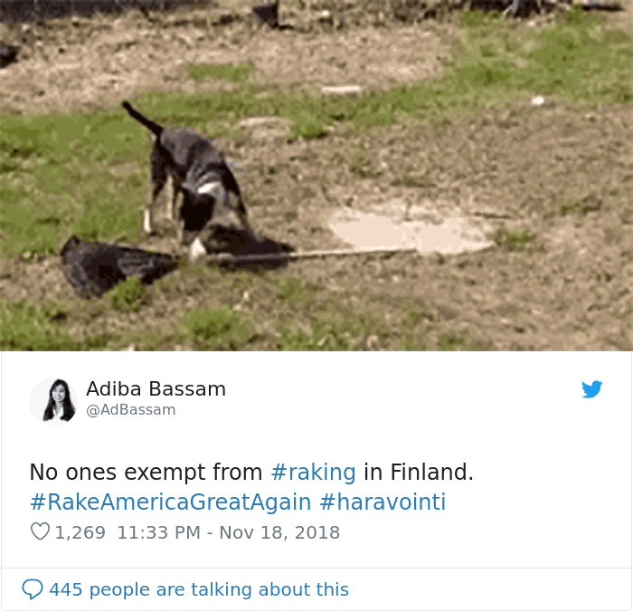 Finns-Troll-Trump-Raking-Leaves-Wildfire-Prevention