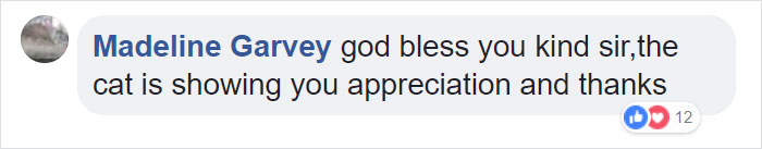 Firefighter Saves Cat From Wildfire In California, And Now She Can't Thank Him Enough