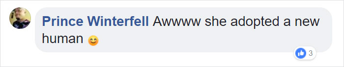 Firefighter Saves Cat From Wildfire In California, And Now She Can't Thank Him Enough