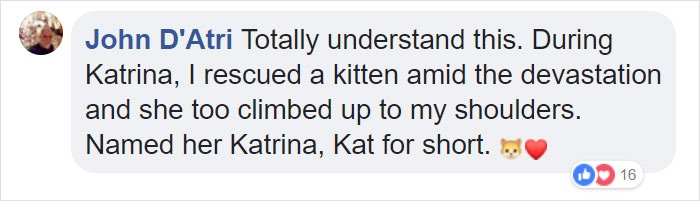 Firefighter Saves Cat From Wildfire In California, And Now She Can't Thank Him Enough