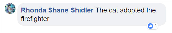 Firefighter Saves Cat From Wildfire In California, And Now She Can't Thank Him Enough