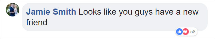 Firefighter Saves Cat From Wildfire In California, And Now She Can't Thank Him Enough