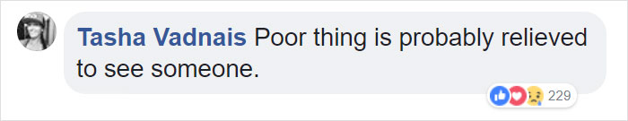 Firefighter Saves Cat From Wildfire In California, And Now She Can't Thank Him Enough