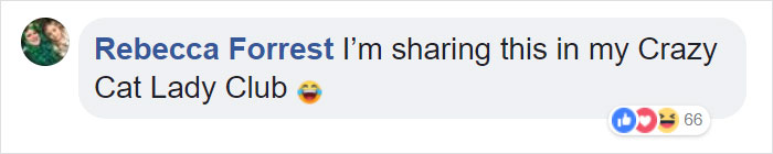 Firefighter Saves Cat From Wildfire In California, And Now She Can't Thank Him Enough