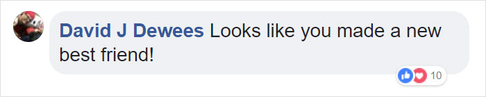 Firefighter Saves Cat From Wildfire In California, And Now She Can't Thank Him Enough