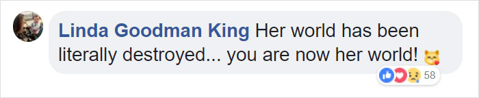 Firefighter Saves Cat From Wildfire In California, And Now She Can't Thank Him Enough