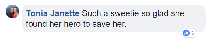 Firefighter Saves Cat From Wildfire In California, And Now She Can't Thank Him Enough