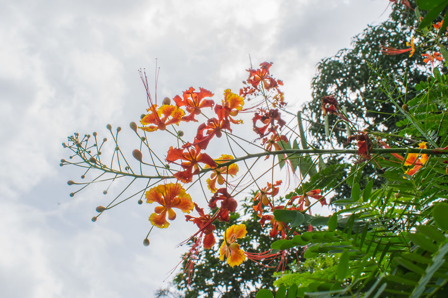 10 Reasons To Visit Malshej Ghat 10 Reasons To Visit Malshej Ghat