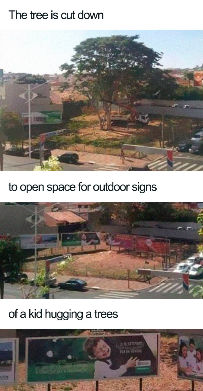 Stupidity Level: Human