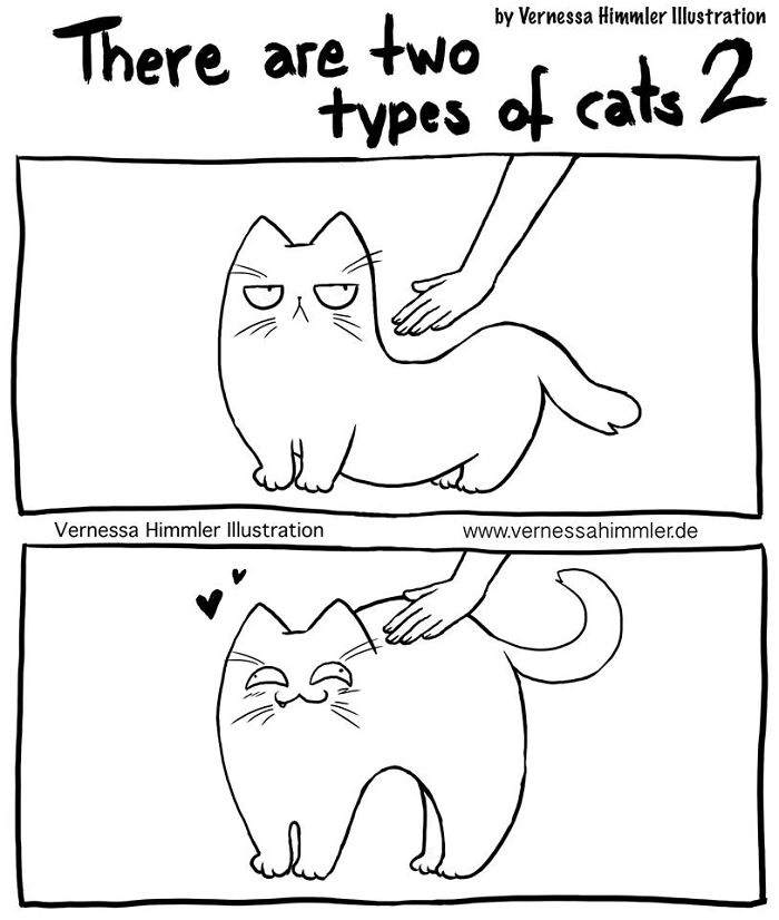 Cat Comics