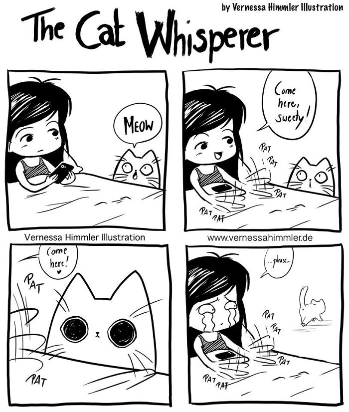 Cat Comics