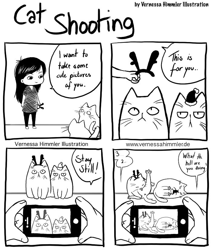 Cat Comics