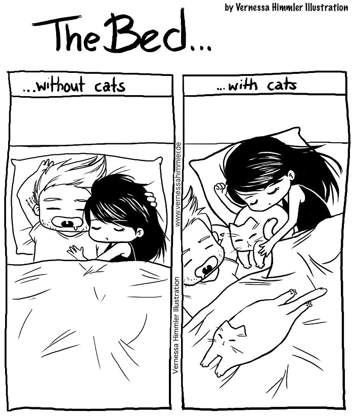 Cat Comics