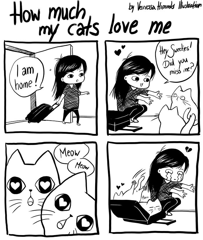 Cat Comics