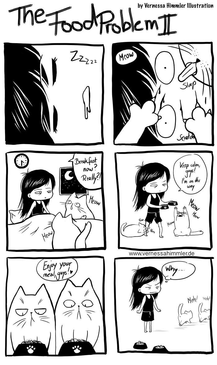 Cat Comics