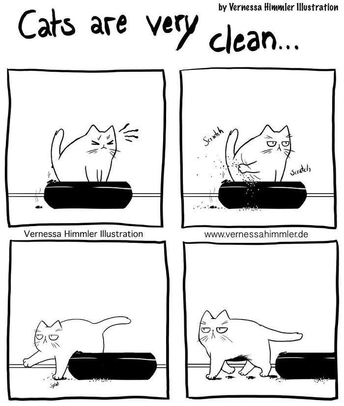 Cat Comics