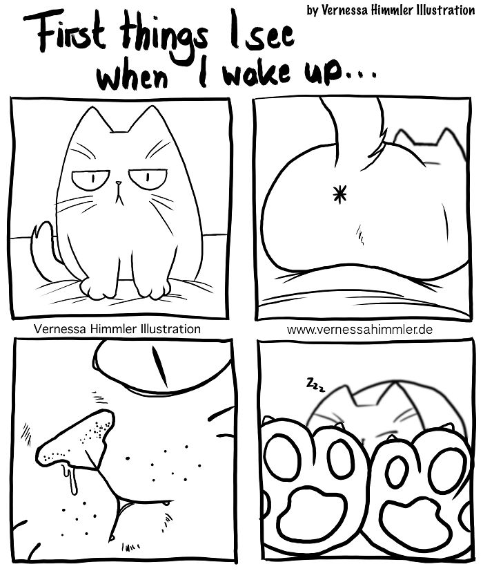 Cat Comics