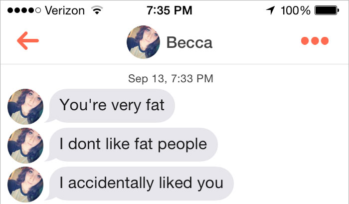 A Girl On Tinder Said This Guy Was Too Fat For Her, So He Shut Her Down. 